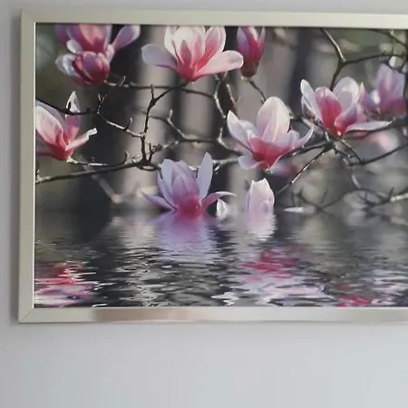 Lejlighed Magnolia *